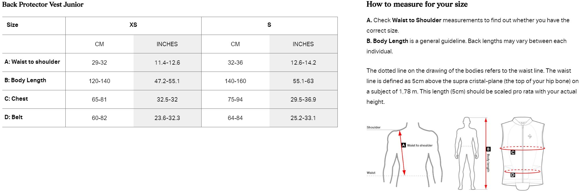 BACK_PROTECTOR_VEST_JR.JPG