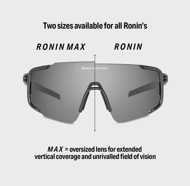 Ronin_Guide_1.jpg